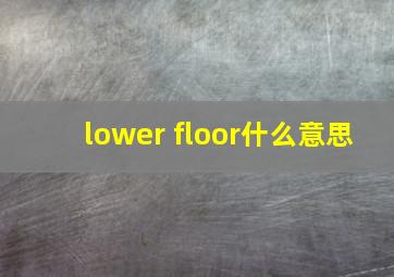 lower floor什么意思